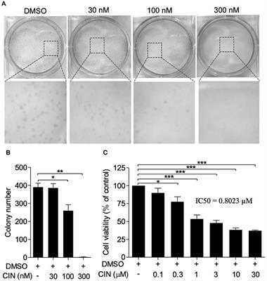 Study of Cinobufagin as a Promising Anticancer Agent in Uveal Melanoma Through Intrinsic Apoptosis Pathway